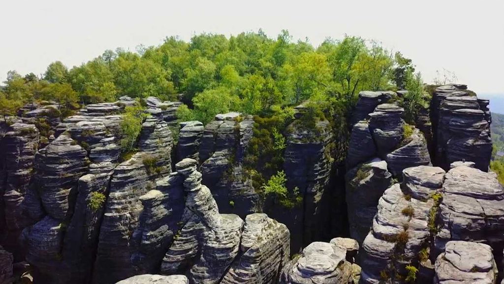 Přírodní rezervace Labské pískovce u Děčína: Oáza skal a lesů na dohled města