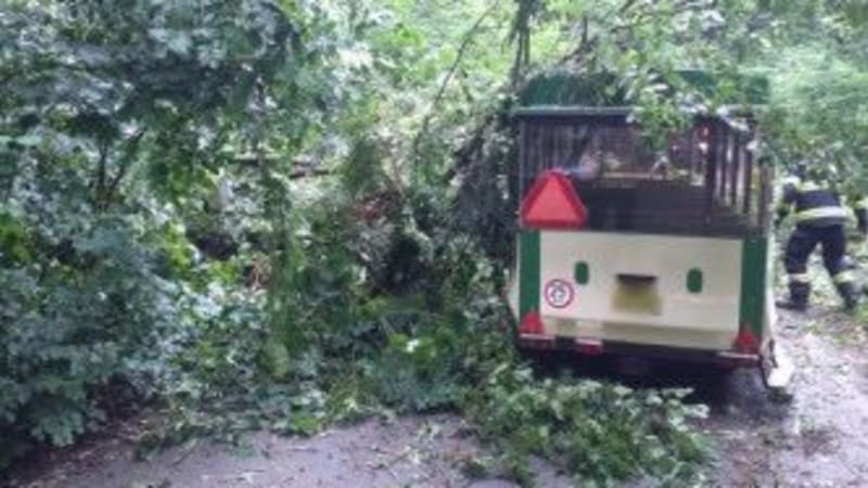 Drama v Moravském krasu: Vláček s turisty zasáhl padající strom, žena skončila v nemocnici
