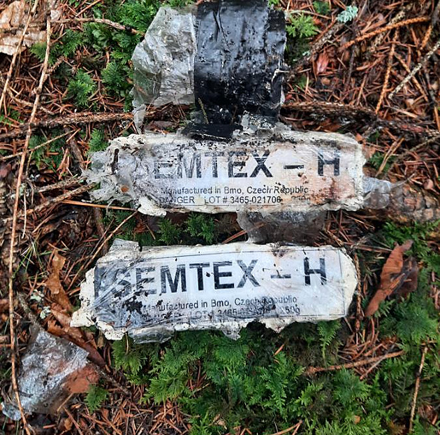 Táborníci nechali v lese balíček s nápisem semtex, další turnus zalarmoval policii