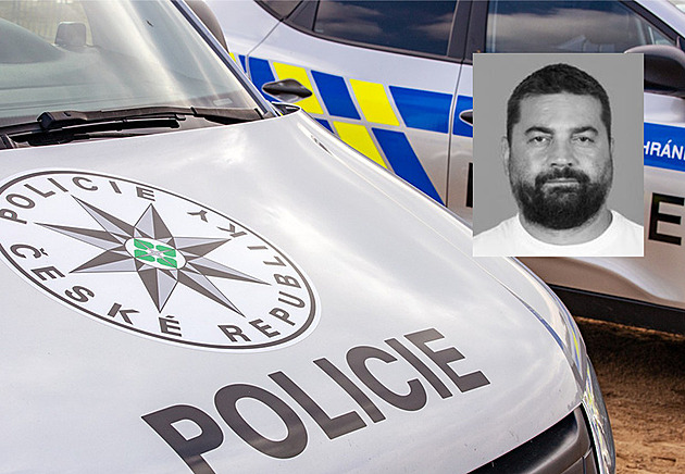 Nebezpečného Srba pustili z vazby, teď po odsouzenci policie znovu pátrá