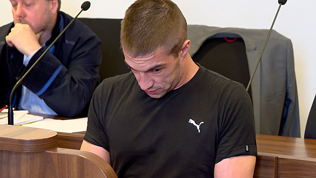 Seniorku škrtil vodítkem, skákal jí po hrudi. Kominík dostal za vraždu 18 let