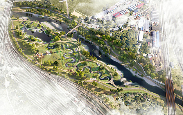 Padne přes 600 stromů. Brno chystá masivní kácení kvůli protipovodňové ochraně