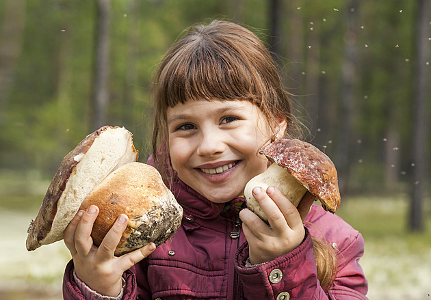 Houbařská sezona je v plném proudu, připravte si nůše. Tato místa teď hlásí největší úlovky