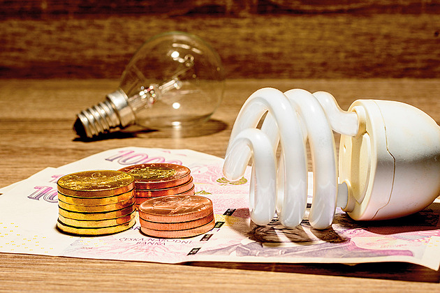 Češi mění přístup k energiím. Chytré domácnosti už nejsou rarita, uvádí průzkum
