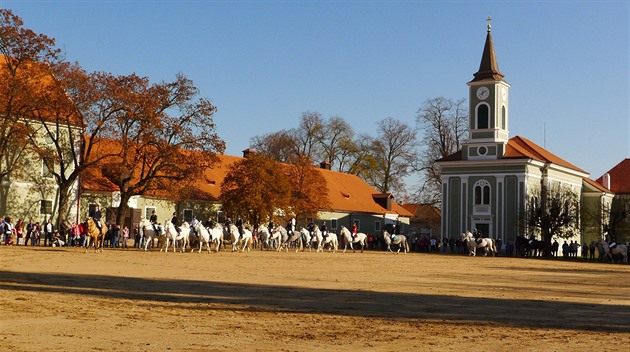 Nejvyšší soud zrušil část verdiktu v kauze zakázek kladrubského hřebčína