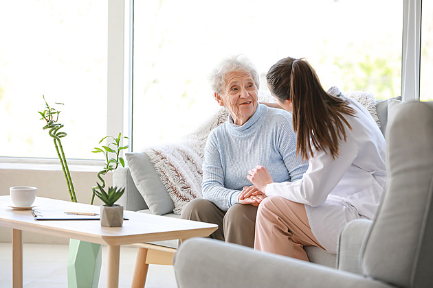 Domov seniorů jako luxus. Chybí personál, Česko hledá nové možnosti péče o staré