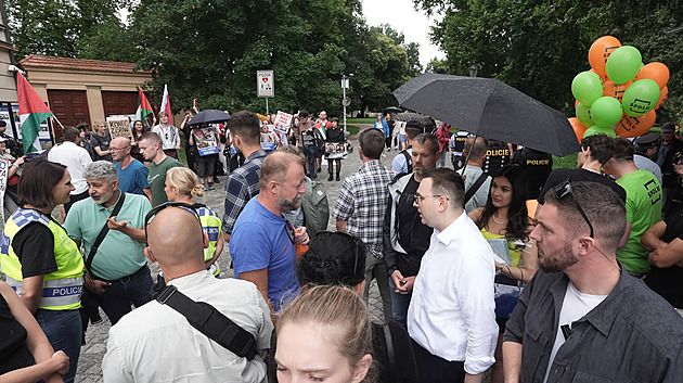 Fiala je pokrytec, Lipavský je zbabělec, volali propalestinští aktivisté