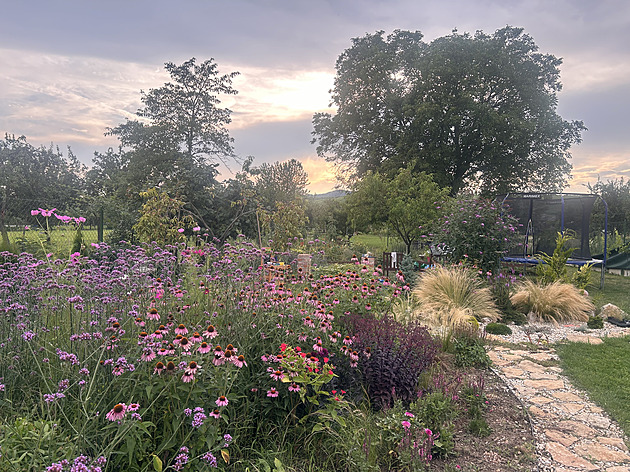 Je to kus ráje na zemi, popisuje čtenářka svou zahradu na úpatí Bílých Karpat