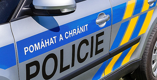 Bývalé ženě zasadil 46 bodných ran, teď našli pohřešovaného schizofrenika mrtvého