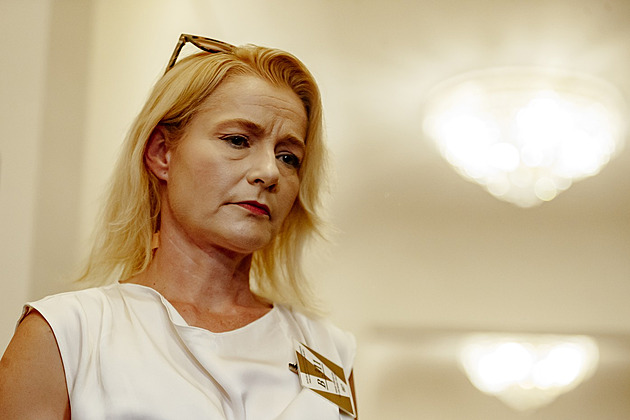 Bývalý policista je podezřelý, že pomáhal matce oběti z fakulty se sebevraždou