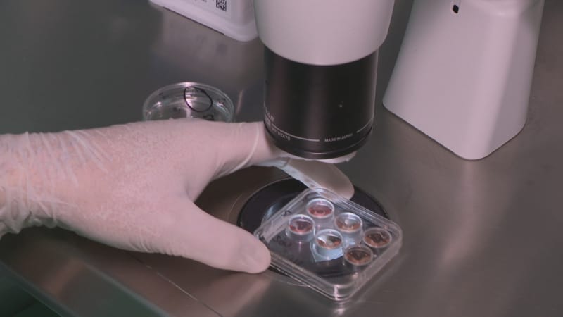 Mužské antikoncepční pilulky budou zdravější než ženské, tvrdí vědci. Skrývají však i nebezpečí