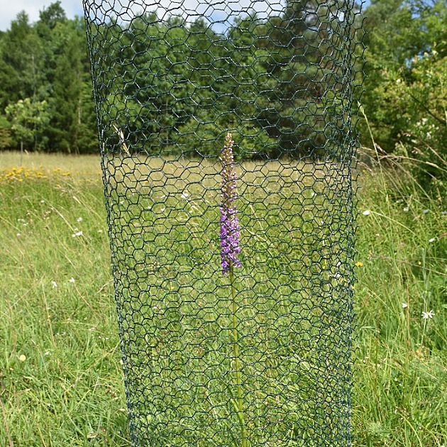 Louka plná klecí. Orchideje v Českém středohoří chrání proti okusování zvěří