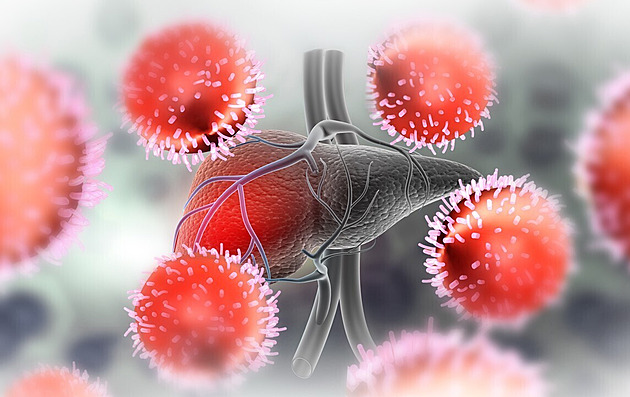V Chrudimi je nové ohnisko „áčkové“ žloutenky, varují hygienici
