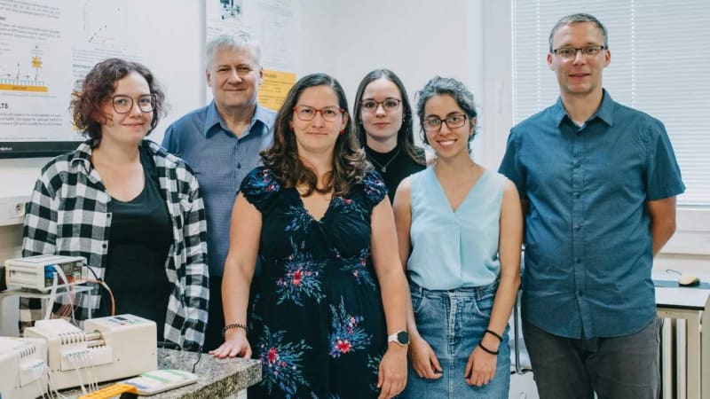 Tajné „vzkazy“ nádorů v těle: Vědci se učí zprávy číst i odpovídat. Jak mohou změnit léčbu?