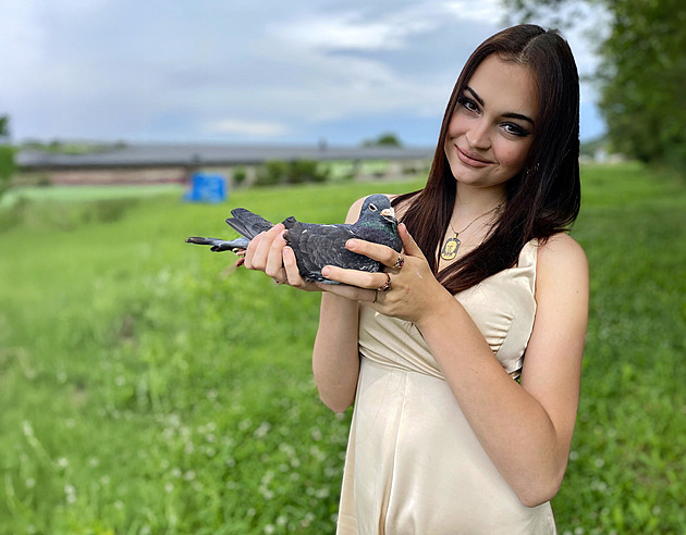 Poslední z rodu. Mladá holubářka zachraňuje rodinnou tradici před zánikem