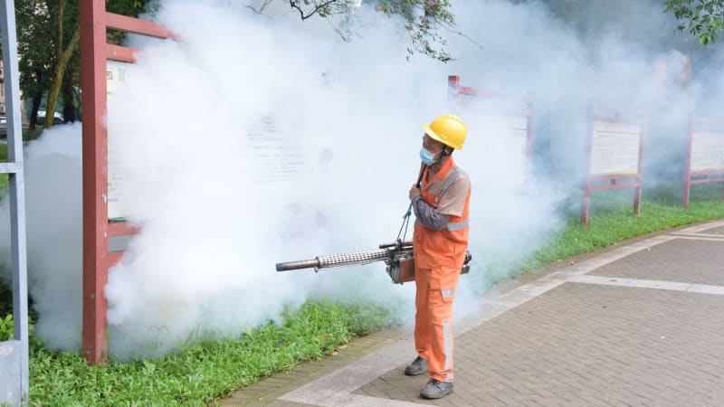 Neviditelná hrozba z Číny: Komáři šíří virus, který „ohýbá“. Hrozí rozšíření i do světa?