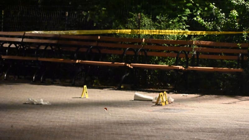 Srazili ho na zem a začali bodat. Mladíci zavraždili v USA 14letého chlapce, dalšího zranili