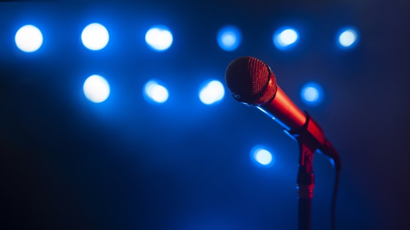 Dětská vítězka talentové soutěže prohrála boj s těžkou nemocí. Kamile bylo pouhých 14 let