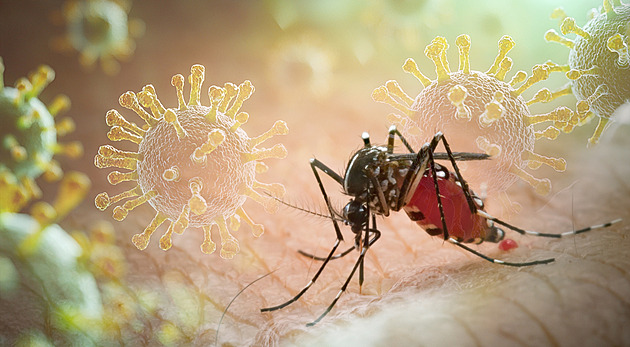 Drony proti komárům. Máme se začít bát? V Číně se šíří virus chikungunja