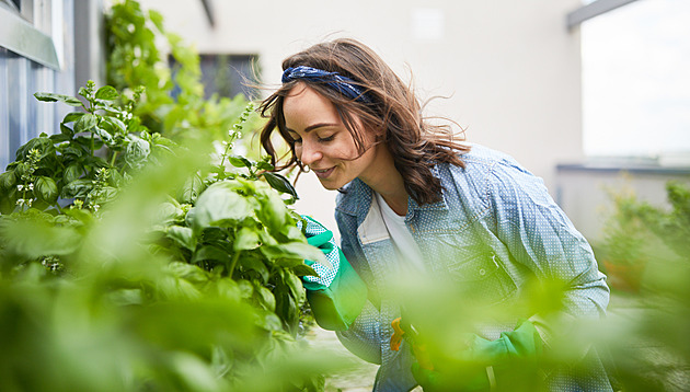 Pochlubte se příběhem a snímky své zahrady v soutěži Nejkrásnější zahrada
