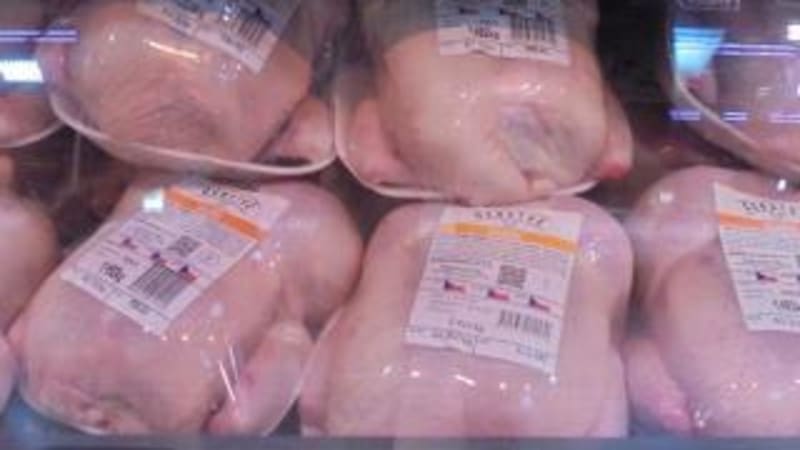 Nemáte ho v mrazáku? Známý řetězec v Česku prodával kuřecí maso se salmonelou