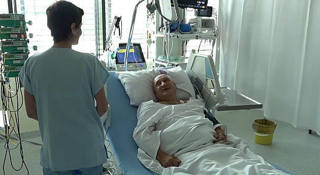 Spletl si ji s bedlou. Muž snědl tu nejjedovatější houbu, přežil jen zázrakem