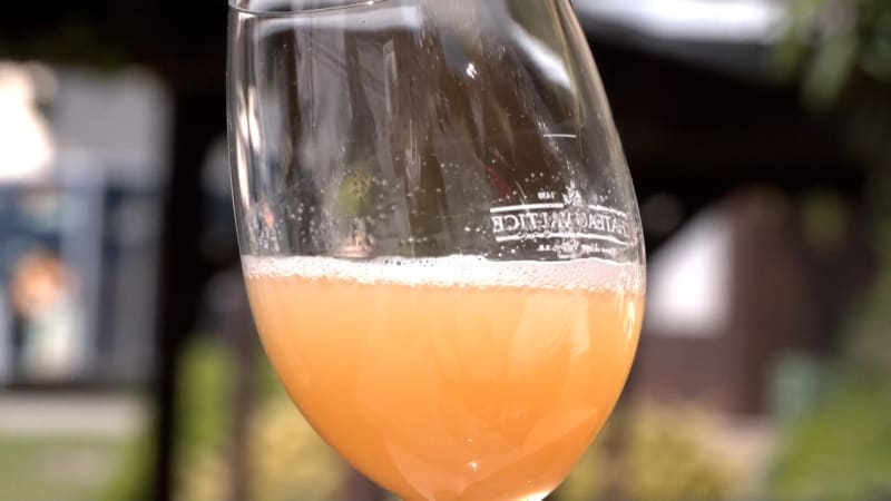 Burčák je tu: Ve Valticích již teče proudem, je ale pozdější a dražší. Cena postupně klesne