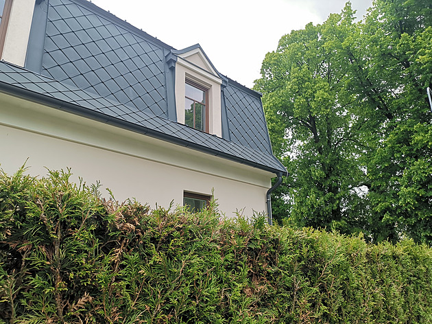 Jak ostříhat túje, aby vytvořily dokonalý štít proti zvědavým sousedům