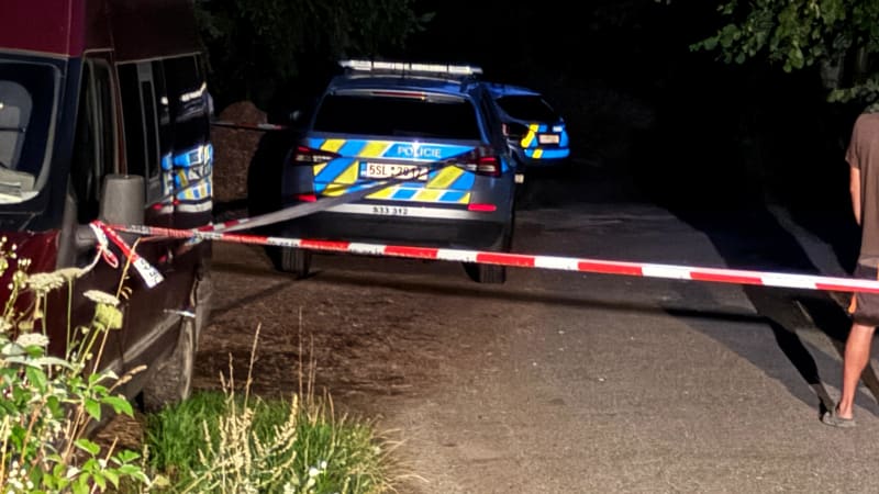 Drama u Prahy: Ze zooparku ve Zvoli utekl lev a zranil ošetřovatele. Policie zvíře zastřelila