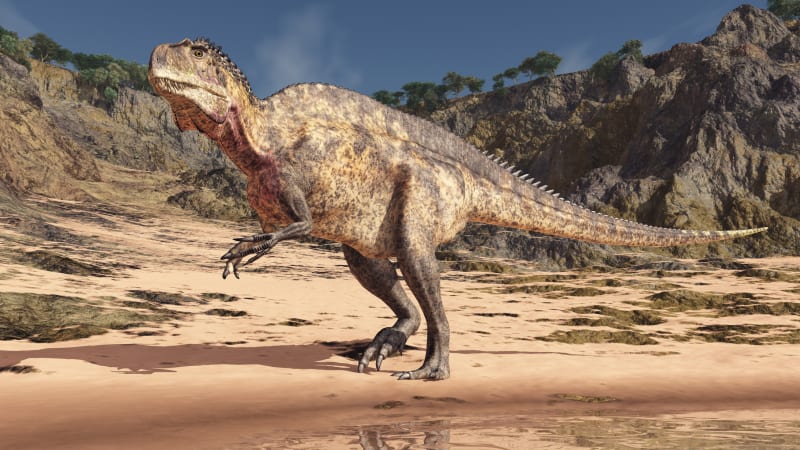 Povodně odhalily pravěké tajemství. Vědci našli v USA půlmetrové stopy dinosaurů