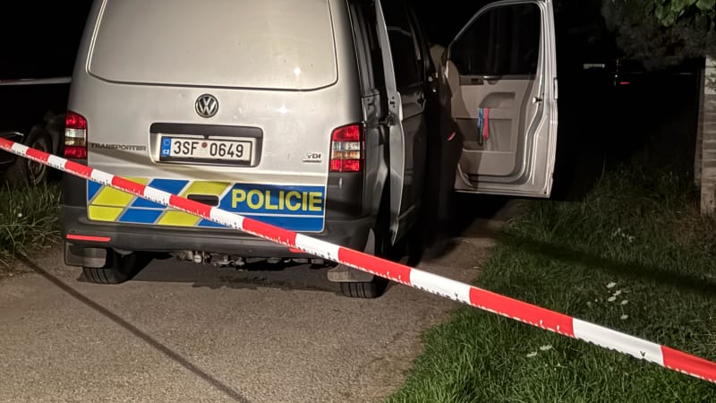 Šokující informace k útěku lva ve Zvoli u Prahy: Zvíře tam chovali nelegálně