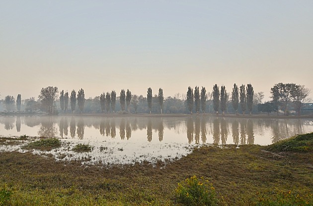 Zemědělci na pomoc po povodni stále čekají. Zvládnout obří spoušť museli sami