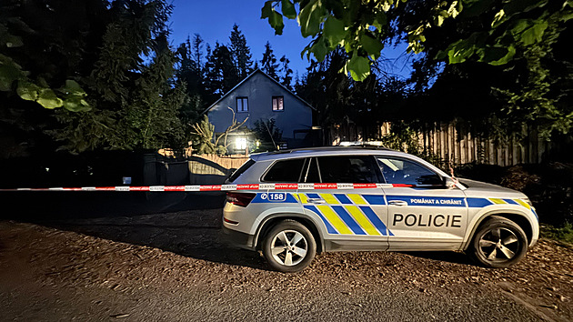 Lev ze zooparku se podhrabal. Zvěřinec už roky nemá povolení