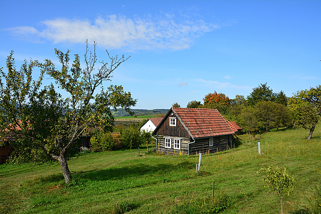 Mrtvola ji děsila otevřenými ústy. Kamufláž čerstvé vdovy oklamala i lékaře