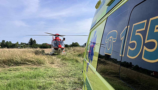 Dívka v zoo lezla po zapovězené síti, pád z pěti metrů skončil bezvědomím