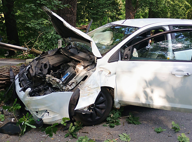Na projíždějící auto se zřítil strom. Žena a dvě děti skončily v nemocnici