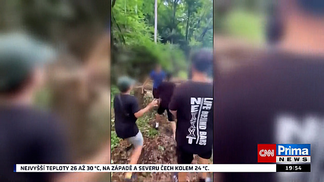 Msta za zprávy třináctileté kamarádce? Školáci brutálně zmlátili muže v lese