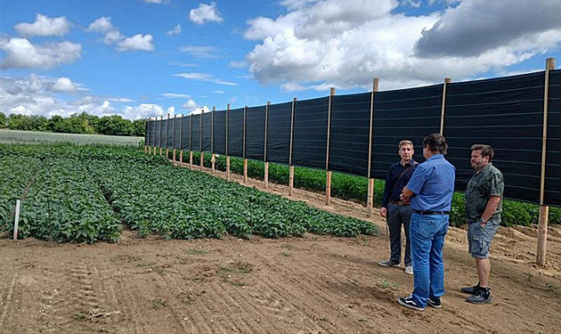 Solární panely pole více ohřívají, zjišťují při experimentu zemědělci