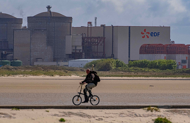 Jadernou elektrárnu ve Francii vyřadily z provozu medúzy, ucpaly chladicí systémy