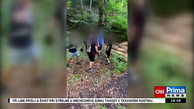 Muž zbitý výrostky v lese lákal dívku k sexuálním hrátkám, tvrdí její matka