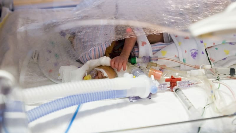 Unikátní databáze z Českých Budějovic odhalí sepsi u novorozenců. Pomůže i umělá inteligence