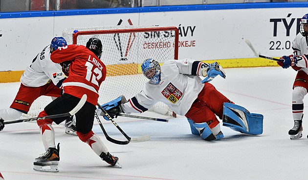 Nemá cenu brečet! Prokletá koncovka s Kanadou zamrzela, Poletín stál na hlavě
