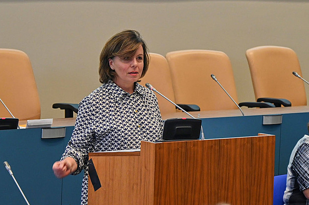 Je to nová totalita, politická čistka, míní bývalá náměstkyně hejtmana Berdychová